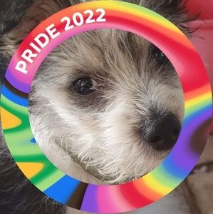 Meet your Posher, Mandy